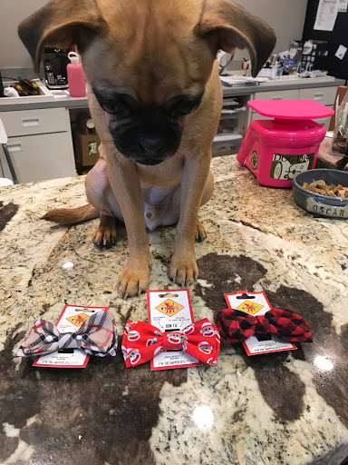 Pet Supply Store «Dog Dish», reviews and photos, 1778 Utica Square, Tulsa, OK 74114, USA