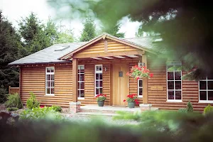 The Hollies Forest Lodges image