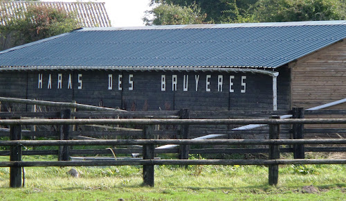 Haras des Bruyères à Saint-Evroult-Notre-Dame-du-Bois
