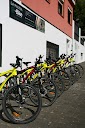 La Palma E-Bike en Los Canarios