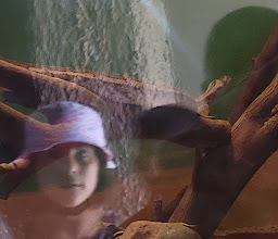 Morelos Park Zoo photo