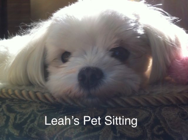 LEAH'S PET SITTING