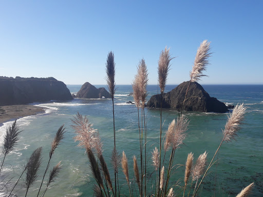 General Store «Elk Store», reviews and photos, 6101 CA-1, Elk, CA 95432, USA