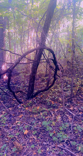 Nature Preserve «Elm Fork Nature Preserve Trail Entrance», reviews and photos, 2335 Sandy Lake Rd, Carrollton, TX 75006, USA