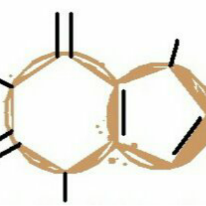 Coffee Shop «Bloom Coffeeworks», reviews and photos, 1600 Wildcat Dr, Portland, TX 78374, USA