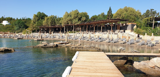 Paralia II
