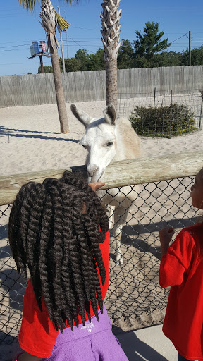 Zoo «Gulf Breeze Zoo», reviews and photos, 5701 Gulf Breeze Pkwy, Gulf Breeze, FL 32563, USA