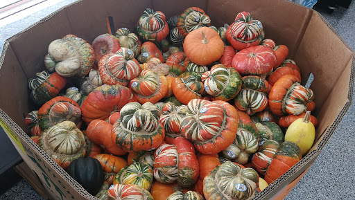 Greengrocer «Hyde Park Produce Market», reviews and photos, 1226 E 53rd St, Chicago, IL 60615, USA