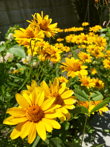 Performing Arts Theater «The Contemporary Theater Company», reviews and photos, 327 Main St, South Kingstown, RI 02879, USA