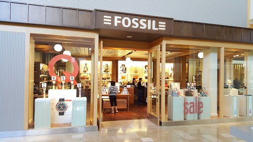 Fossil Store, 3111 W Chandler Blvd #2162, Chandler, AZ 85226, USA, 