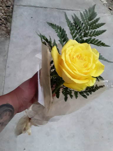 Florist «The Golden Poppy», reviews and photos, 1160 Solano Ave, Albany, CA 94706, USA