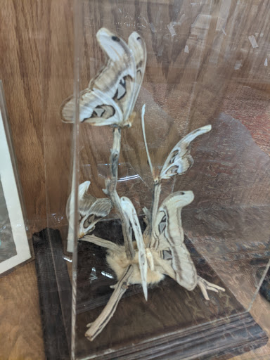 Art Gallery «Dumouchelle Art Galleries», reviews and photos, 409 E Jefferson Ave, Detroit, MI 48226, USA