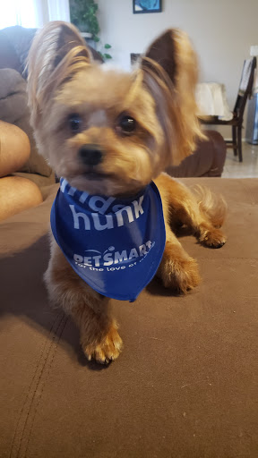 Pet Supply Store «Petco Animal Supplies», reviews and photos, 3452 W Chandler Blvd, Chandler, AZ 85226, USA