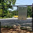 Shamrock Drive Dog Park