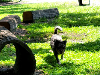 Dog Park at Al Lopez Park