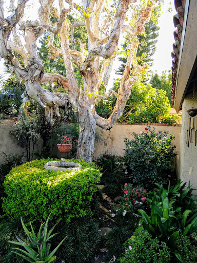 Park «University Community Park», reviews and photos, 1 Beech Tree Ln, Irvine, CA 92612, USA