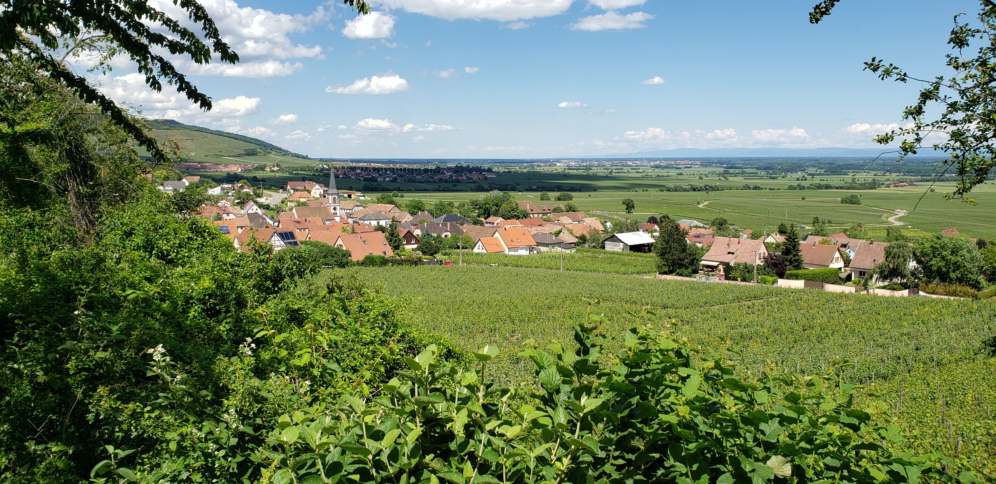 Photo n° 1 de l'avis de ChrisW. fait le 13/06/2019 à 17:15