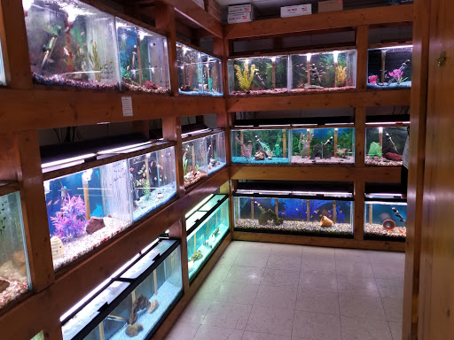 Pet Supply Store «All About Pets», reviews and photos, 9285 Cincinnati Columbus Rd, West Chester Township, OH 45069, USA