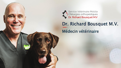 Service Vétérinaire de Chirurgies Orthopédiques - Dr. Richard Bousquet