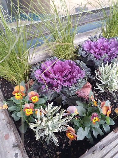 Visitor Center «City of Seaside Visitors Bureau», reviews and photos, 7 N Roosevelt Dr, Seaside, OR 97138, USA