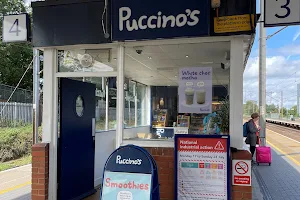 Puccino's image