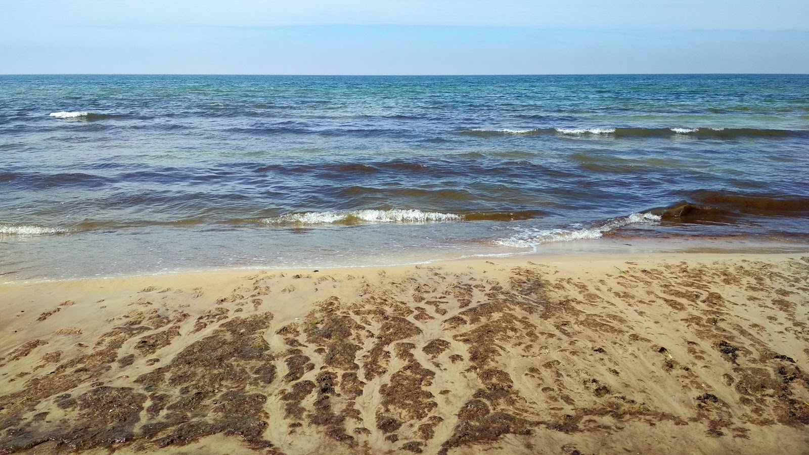 Φωτογραφία του Edge beach με επίπεδο καθαριότητας εν μέρει καθαρό