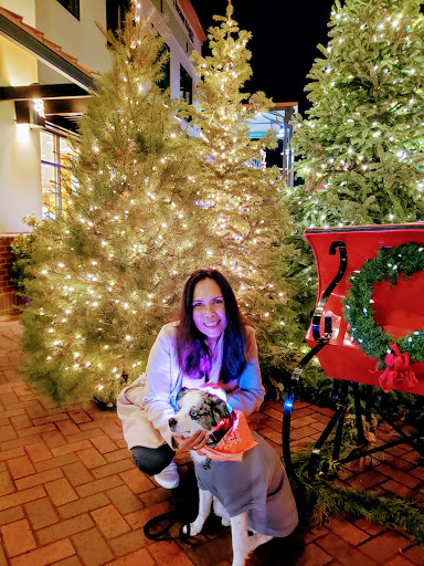 Shopping Mall «Oakway Center», reviews and photos, 2350 Oakmont Way #204, Eugene, OR 97401, USA