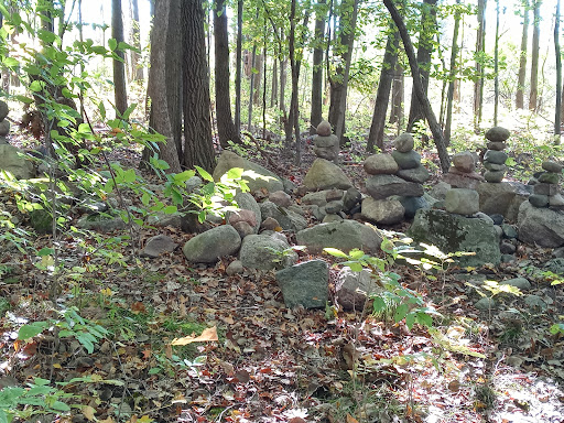 Nature Preserve «Sutherland Nature Sanctuary», reviews and photos, 3998 Diehl Rd, Metamora, MI 48455, USA