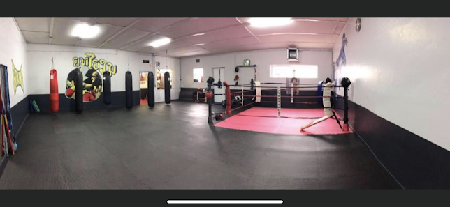 Colazzo boxing - Charleroi
