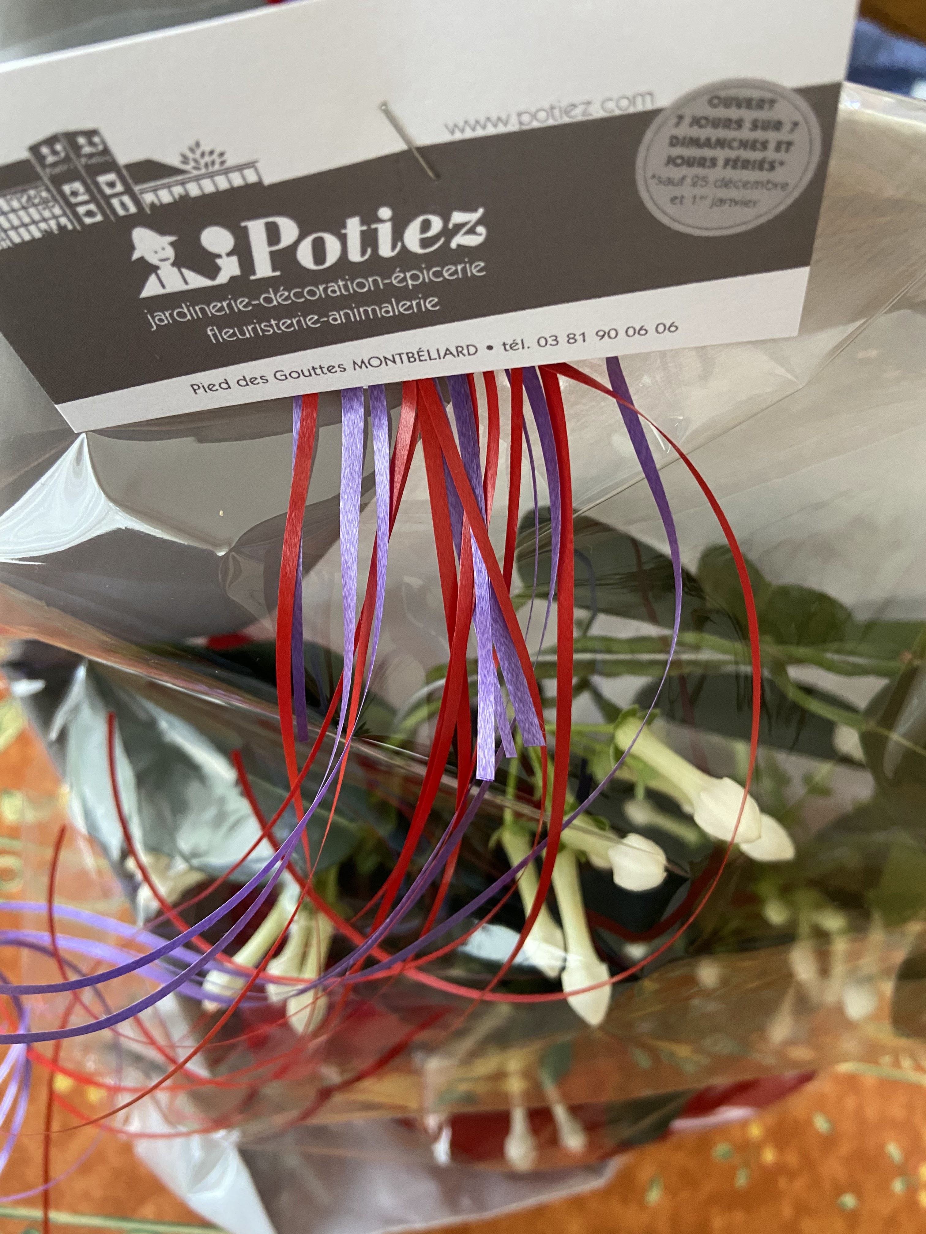 Photo n° 2 de l'avis de POLO.T fait le 30/11/2023 à 15:00