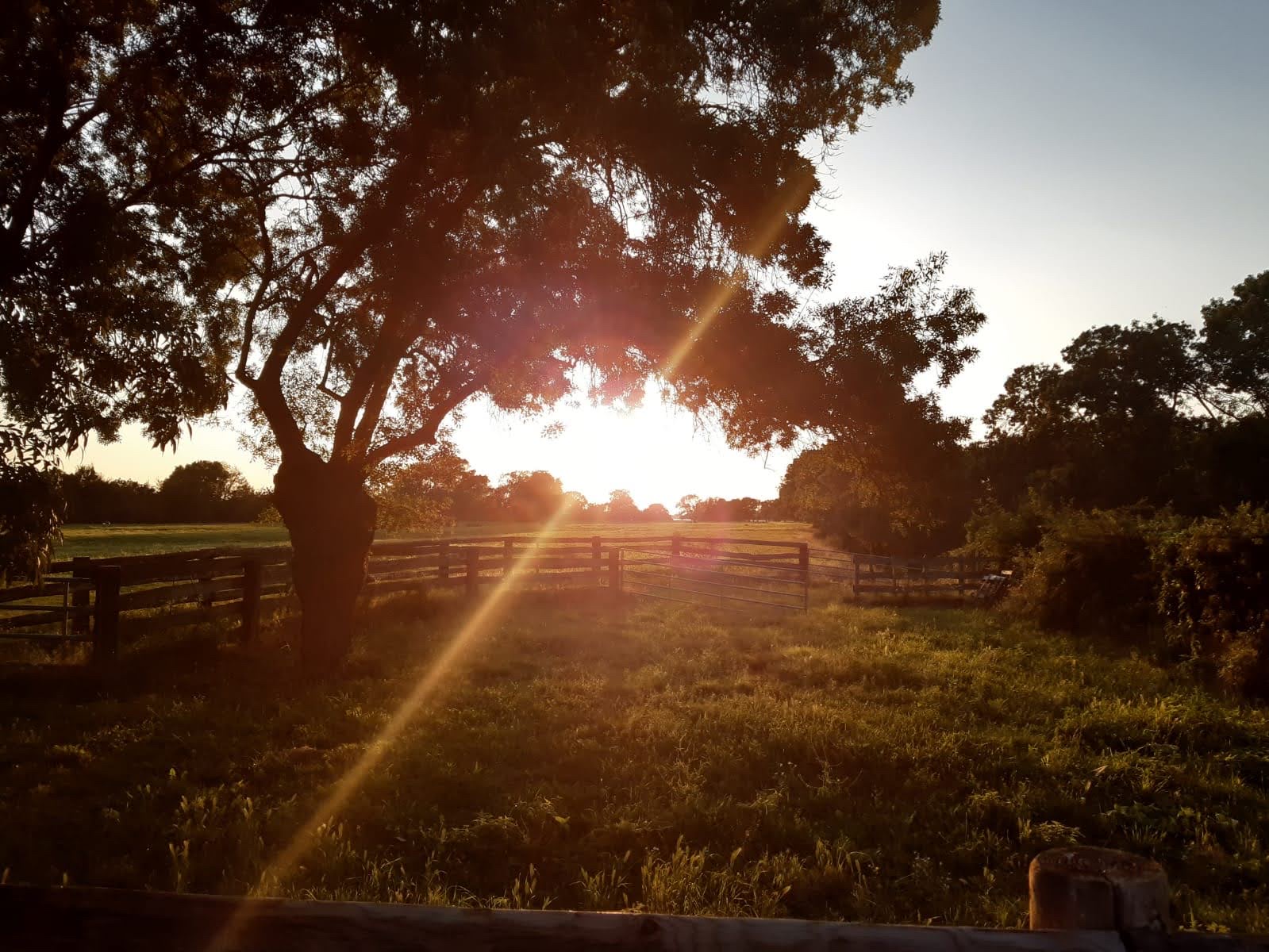 Photo n° 1 de l'avis de Gilles.o fait le 07/09/2021 à 08:17