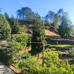 Photo n°2 de l'avis de Mauro.e fait le 06/07/2022 à 16:34 sur le  Restaurante Quinta da Cavada à Vouzela