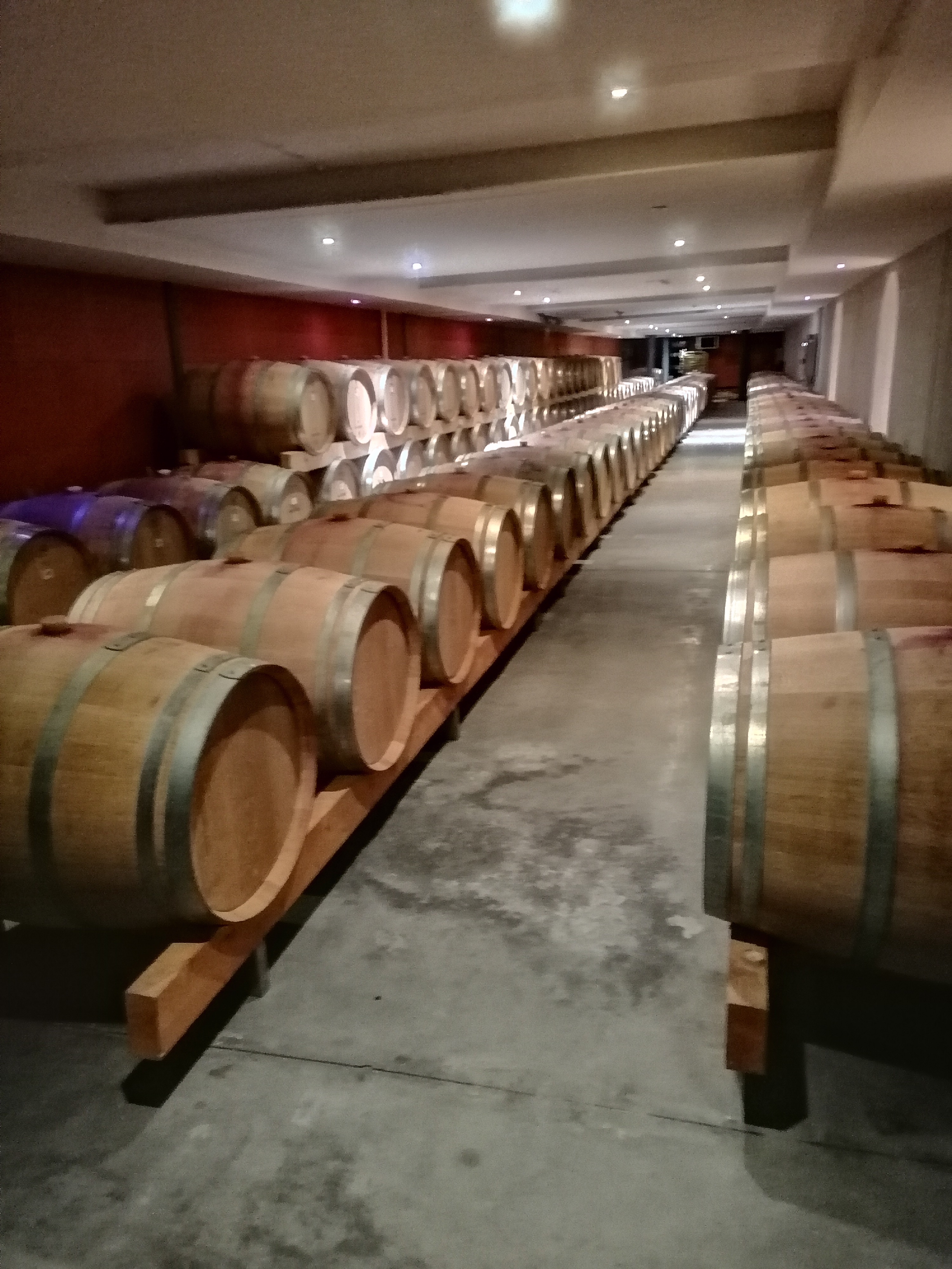 Photo n° 1 de l'avis de alvyda. fait le 06/10/2023 à 10:25