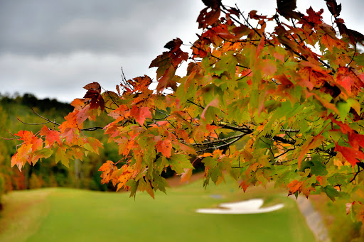 Public Golf Course «Fairways of Canton- Stratus Kitchen & Bar», reviews and photos, 400 Laurel Canyon Pkwy, Canton, GA 30114, USA