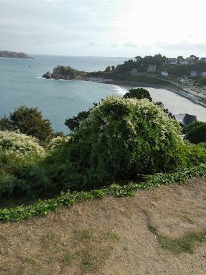 Vidange Ropars Sarl à Perros-Guirec