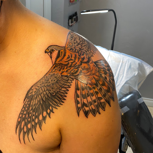 Explore tattoo ideas on inner arm, creative tattoo ideas in Fort Collins, available at Meadowlark Tattoo