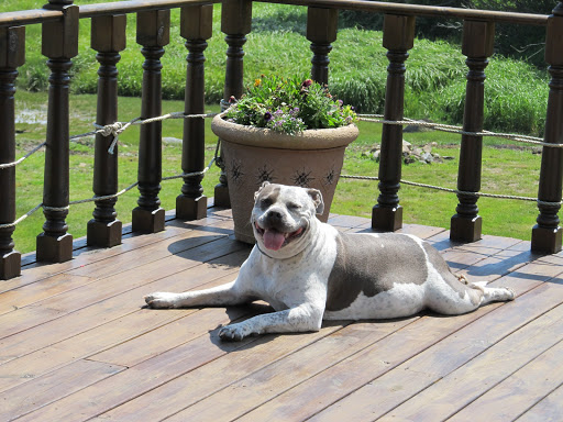 231 S Gouldsboro Rd, Gouldsboro, ME 04607, USA