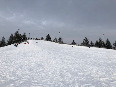 Summer toboggan run