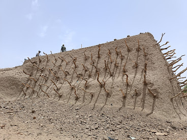 Tomb of Askia by null