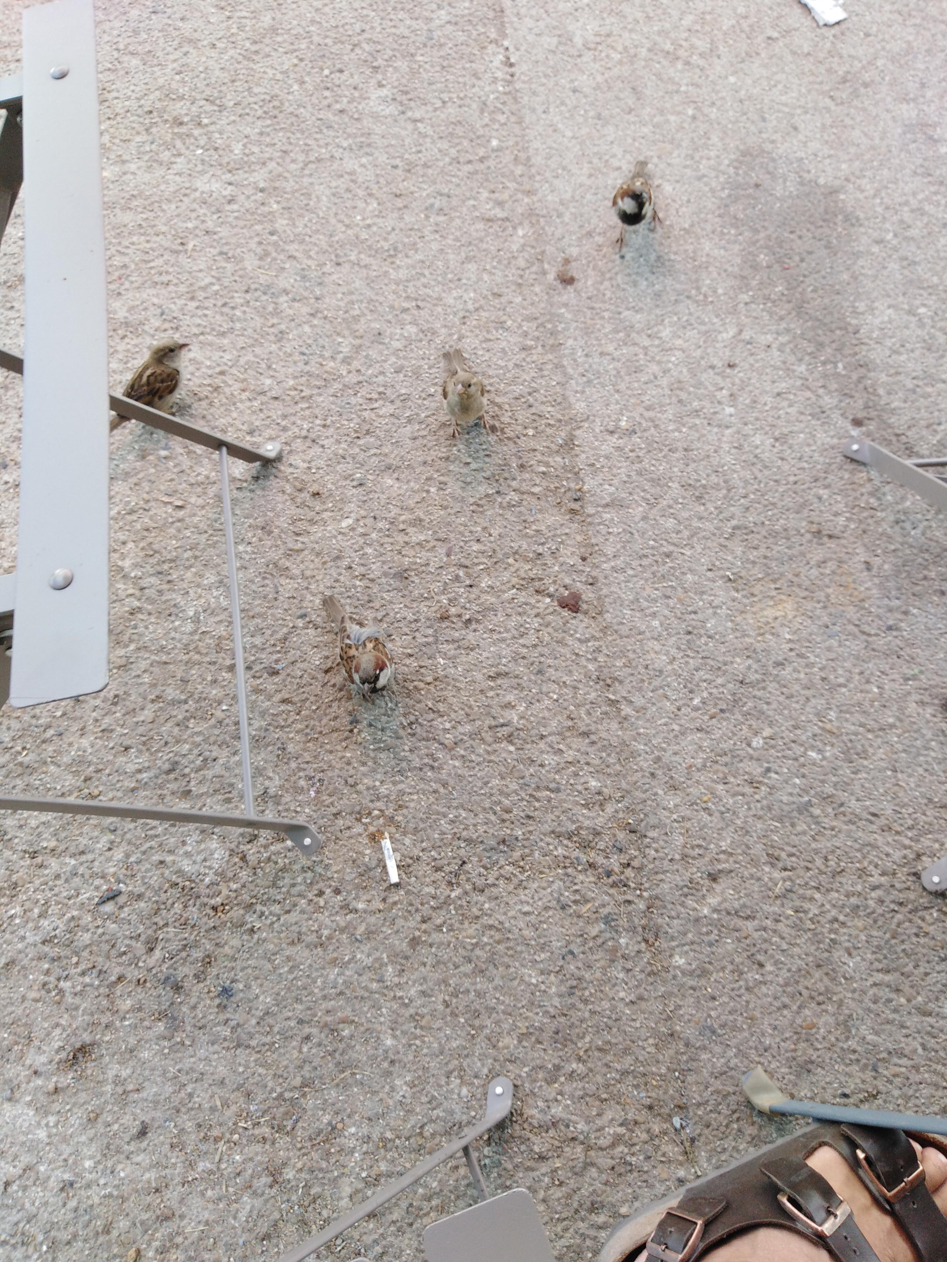Photo n° 3 de l'avis de Michele.u fait le 22/08/2019 à 21:40