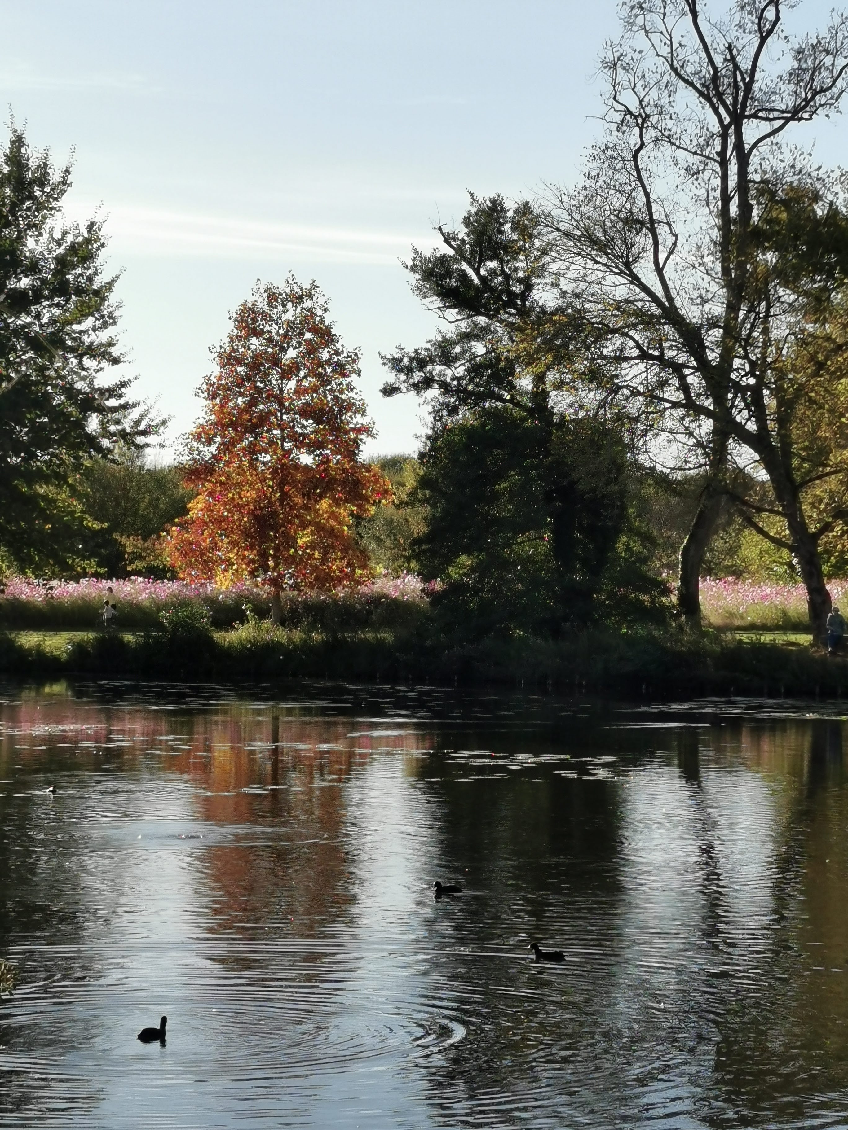 Photo n° 12 de l'avis de Alexandre.l fait le 27/10/2021 à 18:59