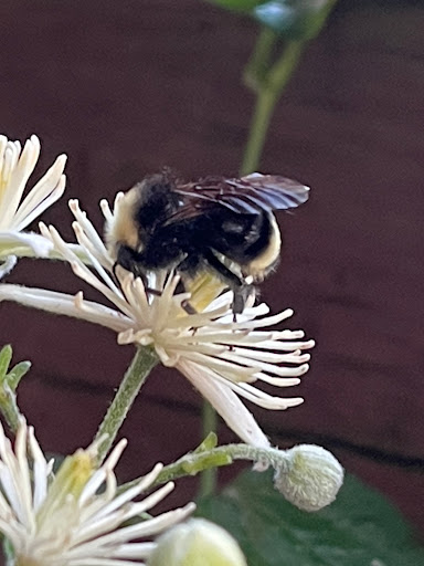Park «Marine View Park», reviews and photos, 20945 Marine View Dr SW, Normandy Park, WA 98166, USA