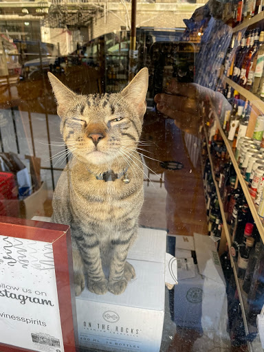 Wine Store «Cabrini Wines & Liquors», reviews and photos, 91 Pinehurst Ave, New York, NY 10033, USA