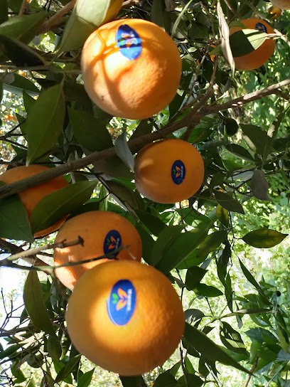 Agro Pure