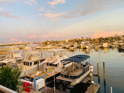 Aquarium «Clearwater Marine Aquarium», reviews and photos, 249 Windward Passage, Clearwater, FL 33767, USA
