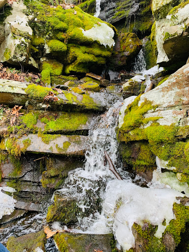 Nature Preserve «John Burroughs Slabsides», reviews and photos, Burroughs Dr, West Park, NY 12493, USA