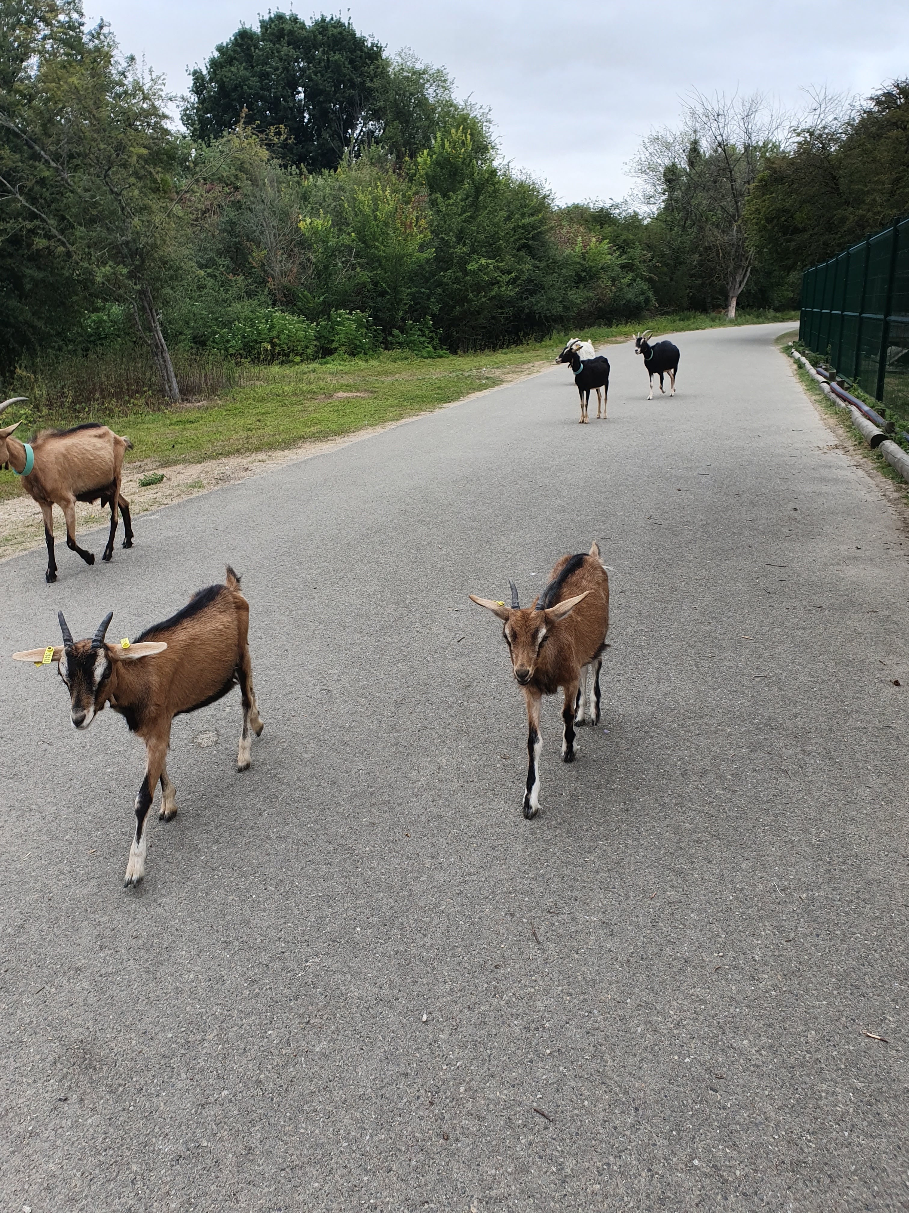 Photo n° 19 de l'avis de Liliane.o fait le 17/08/2019 à 10:37