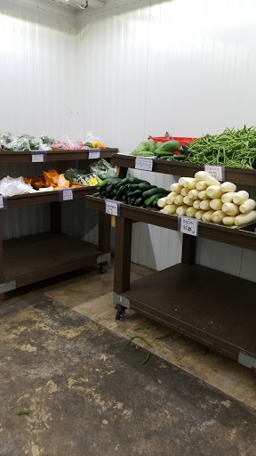 Grocery Store «Akshay Indian Grocery», reviews and photos, 2431 W Main St, Norristown, PA 19403, USA