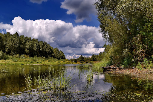 Zalissia National Park