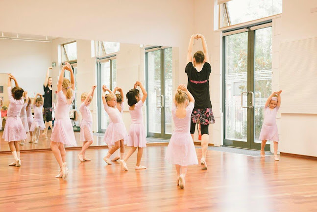 Siegeris Dance - Dance school